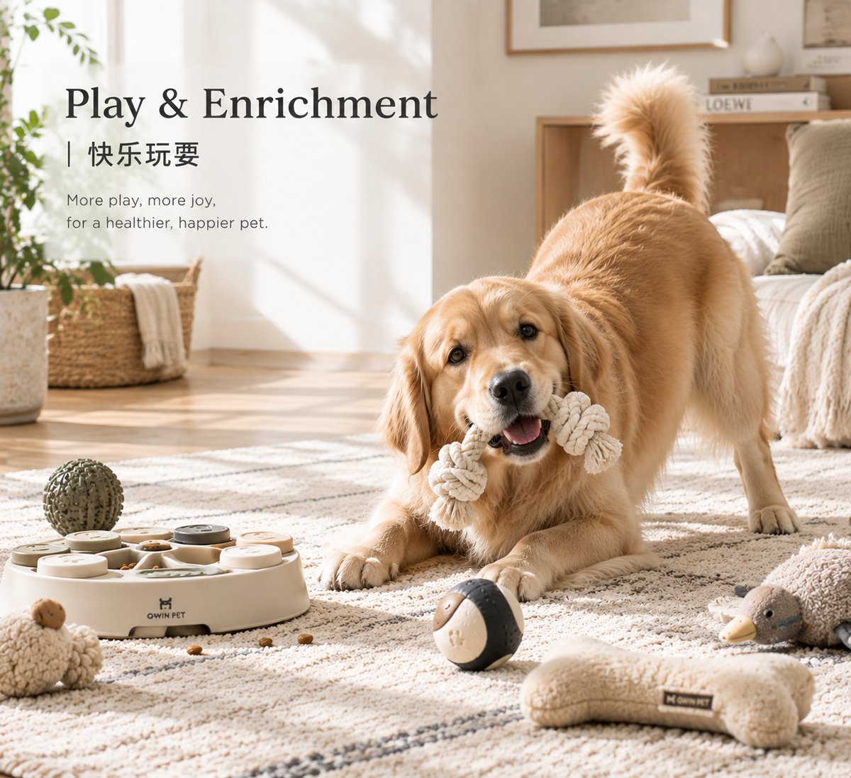 Play & Enrichment